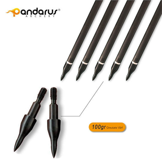 Set 12 Săgeți Arc Compound 6.2 Mm Ax Fibra De Carbon Spine 300 Lungime 32 Inch 27 Gr Săgeată Pandarus
