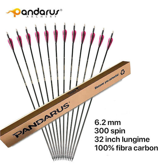 Set 12 Săgeți Arc Compound 6.2 Mm Ax Fibra De Carbon Spine 300 Lungime 32 Inch 27 Gr Săgeată Pandarus