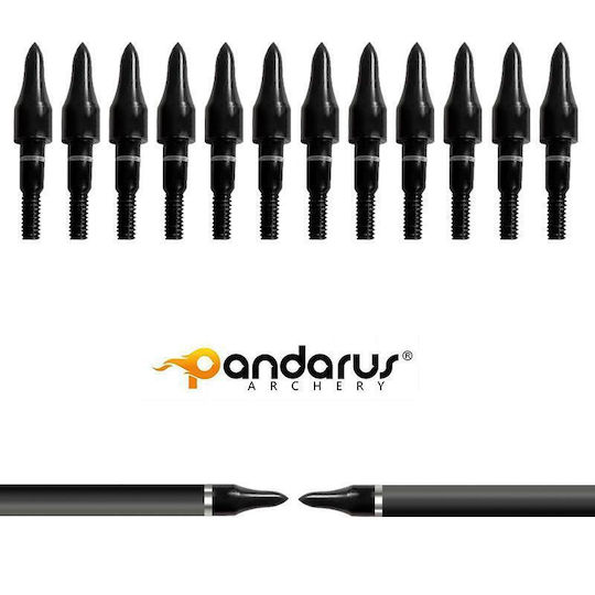 Set 3 Săgeți Arc Compus 6.2mm Ax Fibra De Carbon Spine 300 Lungime 32 Inch Pandarus