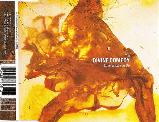 Divine Comedy Love What You Do Cd
