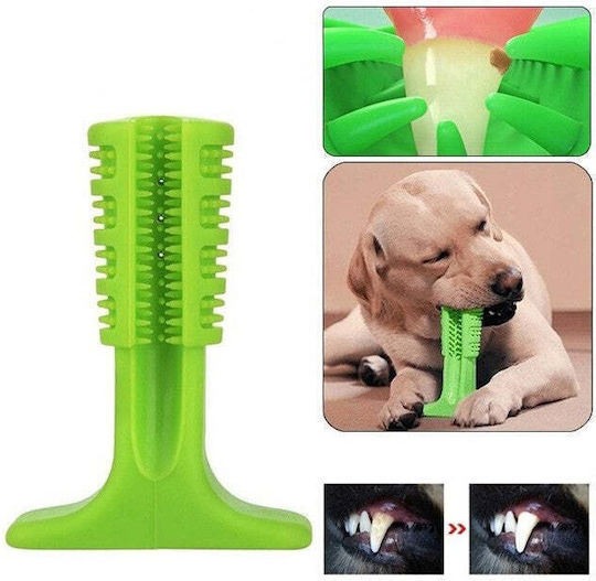 Rolinger Hundezahnpflege Zahnbürste für Hunde