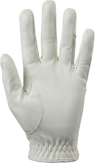 Palatino Riding Gloves
