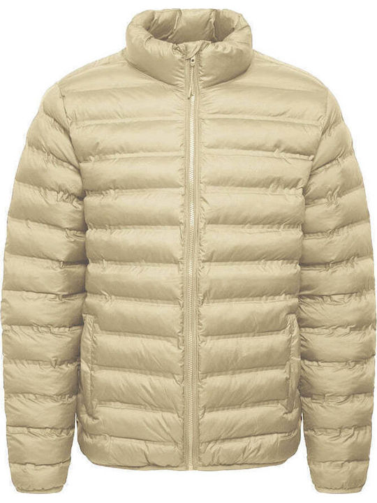 Winter Jacket Puffer Birch