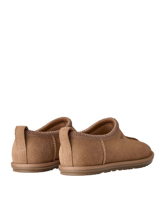 Tasman Leder Damen Hausschuhe Braune