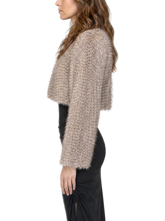 Short Women's Fur Black & Black Ecru-Beige W27B6172-One-Color