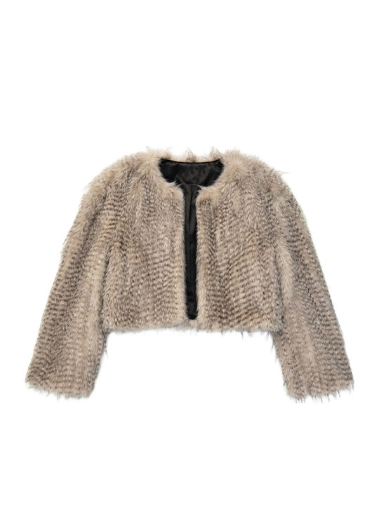 Short Women's Fur Black & Black Ecru-Beige W27B6172-One-Color