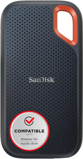Sandisk Schutzhülle Grau