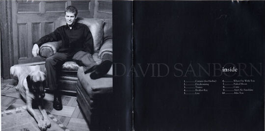 David Sanborn Inside Cd