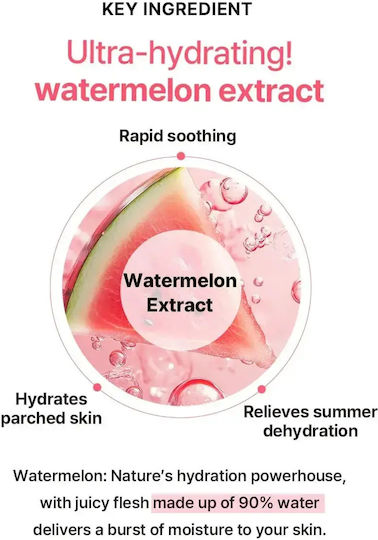 Heimish Watermelon Moisture Soothing Gel-Creme Gel Gesicht Tag mit Aloe Vera & Centella Asiatica 110ml