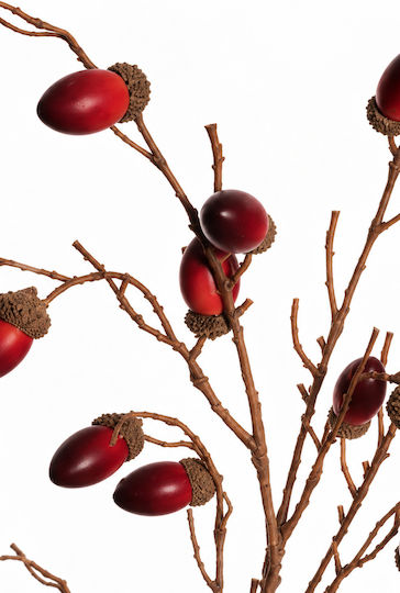 Κλαδι Μπορντο Βελανιδια 0x0x107cm Μονόχρωμο Evergreens