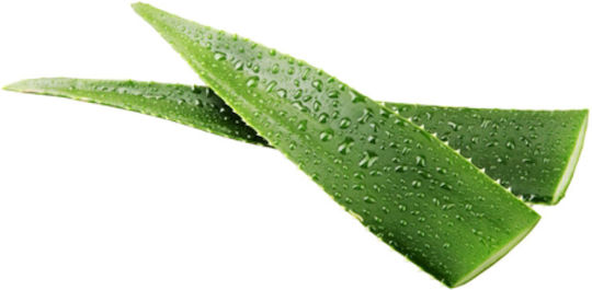 Lavera Basis Sensitiv Cream Face with Aloe Vera 50ml