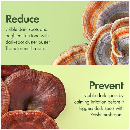 Origins Mega-Mushroom Крем За Лице За Пигментни Петна И Блясък С Хиалуронова Киселина И Витамин С 50ml