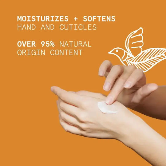Korres Feuchtigkeitsspendende Hand- und Nagelcreme Für Rissige Hände Mandarin Neroli 50ml