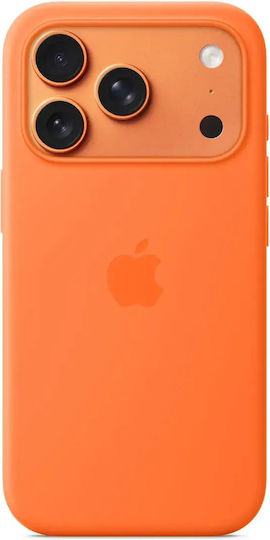 JT Berlin Back Cover Black (Galaxy S26+)