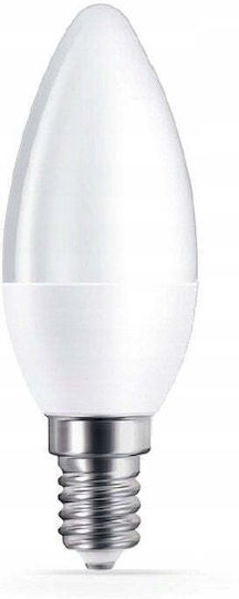 Best Service LED Glühbirne 5W 100mm für E14 Färbetemperatur Kühles Weiß 470lm