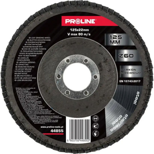 Pro-line Fächerscheibe 125mm Gr 60 (44855)