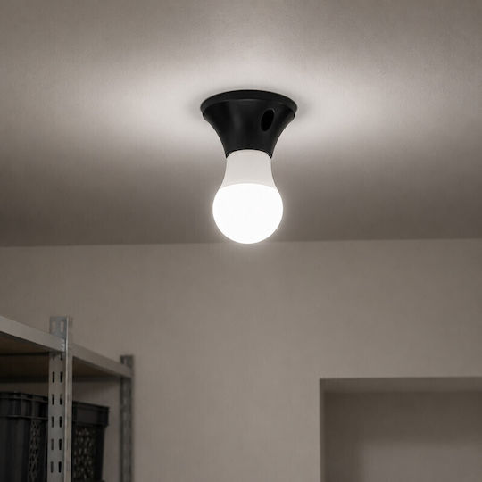 Elvhx Lichtsteckdose für Beleuchtungszubehör 5201.02