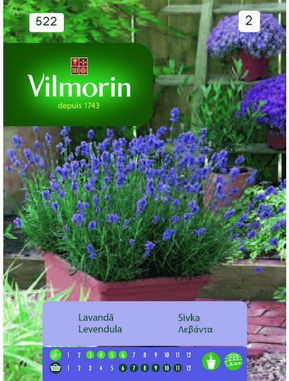 Vilmorin Σπόροι Λεβάντας Μωβ