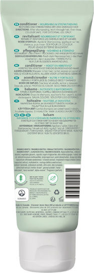 Attitude Hydration Nutrition And Revitalization Conditioner 240ml