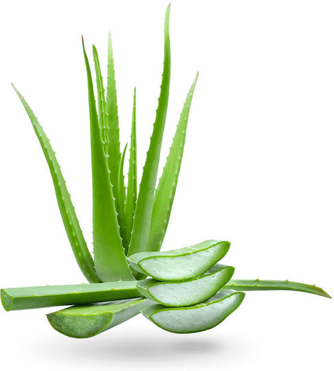 Aloe Vera Rich 24h Day Cream Rich 24h Cream Face Day with Aloe Vera 50ml