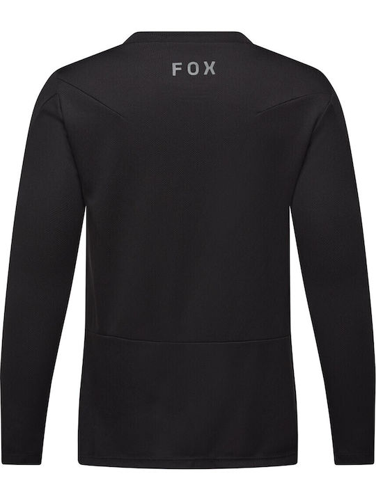 Fox Fox