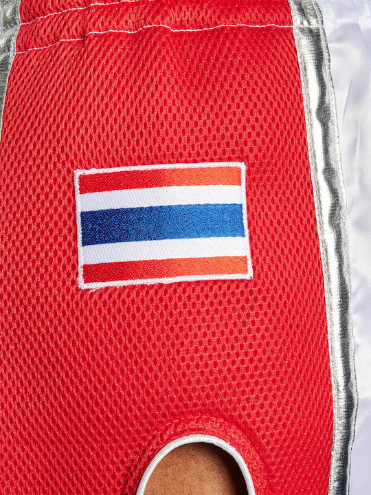 Boxing Shorts Siam Thai Leone Thailand
