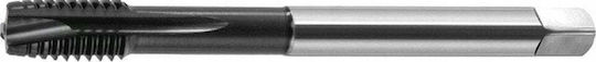 Fanar D4-118M01-0200 Kegel aus Stahl 8x1.25mm 1Stück