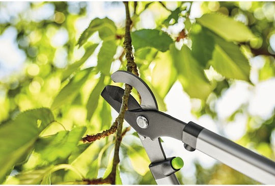 Mini Bypass Pruning Shears For_q 45 Cm Cutting Capacity 35 Mm