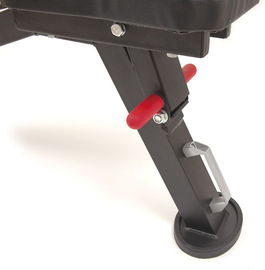AMILA Gym Bench AWB800 Einstellbar Workout-Bank Unterleib