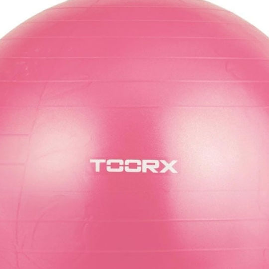 Toorx Minge Pilates 55cm , 1.35kg în culoare Roz