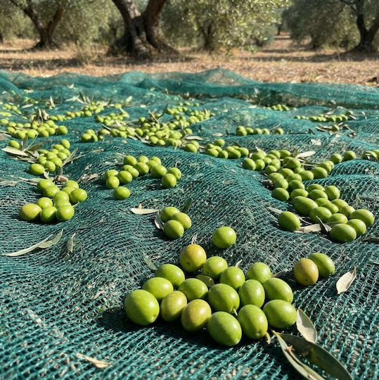 Kraft World Olive Sail from HDPE 5x10m Density 95gr/m²