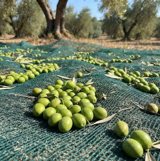Kraft World Olive Sail from HDPE 6x12m Density 95gr/m²