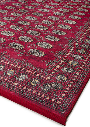 Viokarpet Nomadian 104