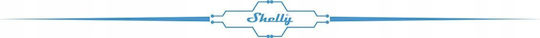 Shelly Blau Wand-Schalter 4 Adapter Legrand & Shelly