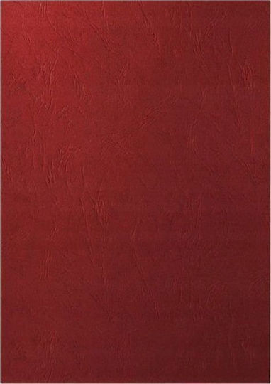 Argo Картон Книговезница 25 Бройки