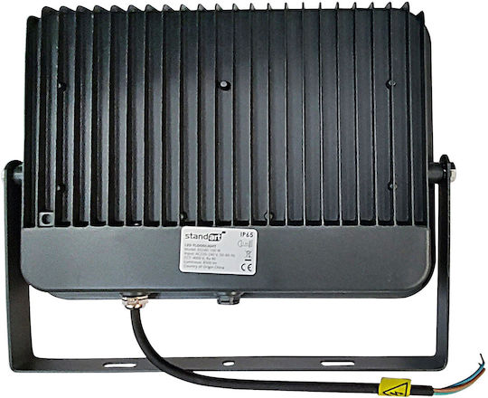 Standart Wasserdichter LED Flutlichter 100W Natürliches Weiß 4000K IP65