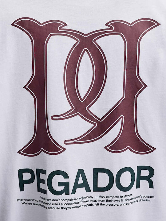 Pegador Pegador