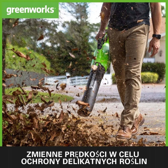 Greenworks GR2406707UC Handheld Akku Laubbläser 24V Solo mit Maximaler Luftgeschwindigkeit 210km/h