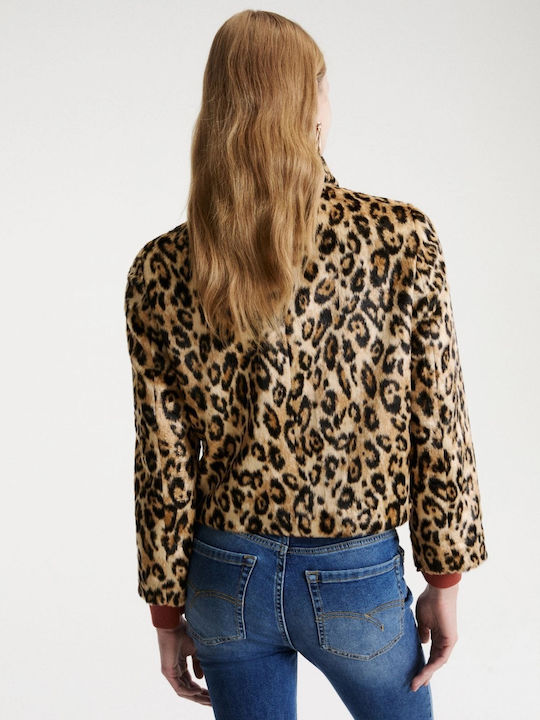 Women's Winter Jacket Camel