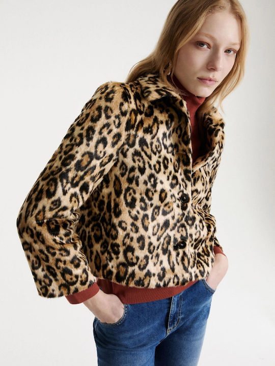 Women's Winter Jacket Camel