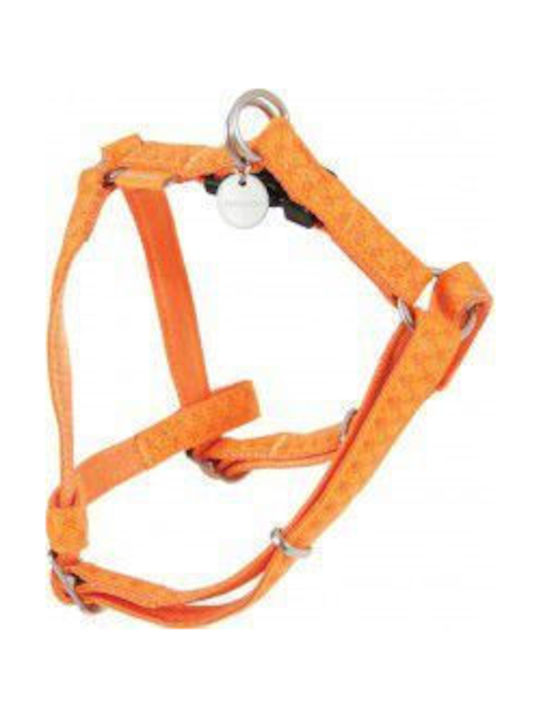 Zolux Hundegeschirr Hund Mac Leder Einstellbar Leder 15 Mm Türkis