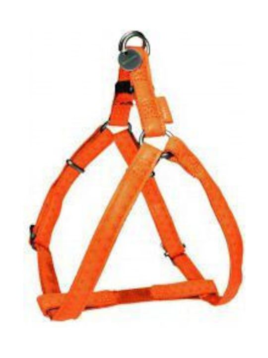 Zolux Mac Leder Verstellbares Hundegeschirr Leder 20 Mm Hellgrün