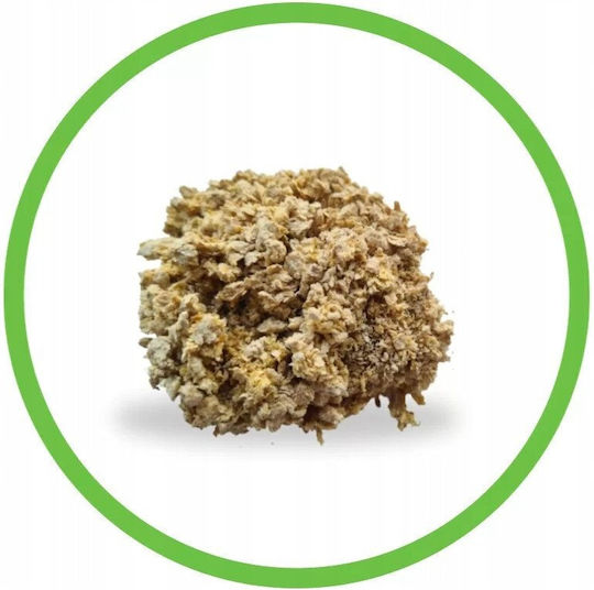 Anycubic Kristalline Katzenstreu Grobkörnig Unparfümiert 10kg / 10lt