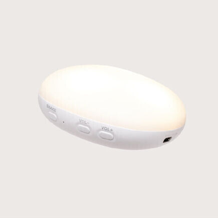 Moonie Animal with Cry Sensor