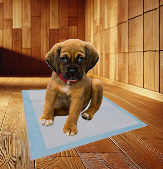 Bounn Bodenwindeln Hundewindeln 60x60cm 10 Stück