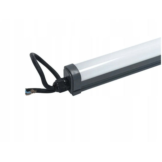 Philips Pila Wt007c LED Линейно Таванно Осветително Тяло 38W Неутрално Бяло IP65 120см