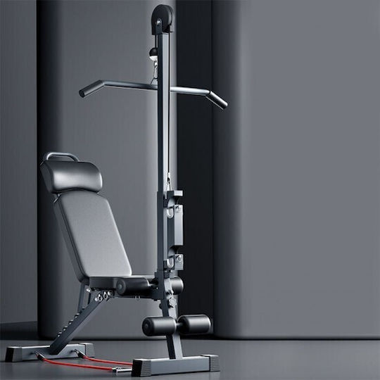 Ehome Multifunctional Workout Bench Pull-Up Bar & Pulley 12 1 Adjustable Workout Bench for Abdominal / Biceps