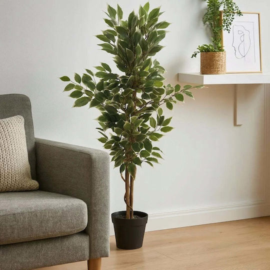 Ficus in Topfpflanze 115cm Verschiedene Designs Home&Styling Collection