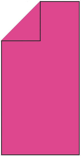 Prosop Din Microfibră Pentru Corp 200gr/m² Cu Husă Roz 180x100cm