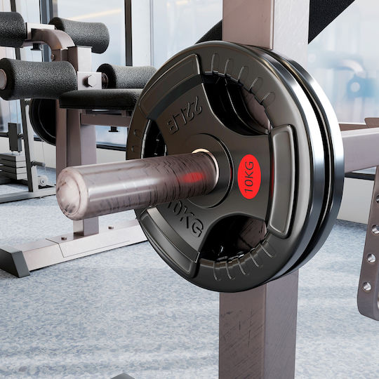 Sportnow Σετ Δίσκοι Λαστιχένιοι 2 x 10kg με Λαβές
